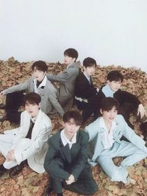 TrNT：我的小嬌妻