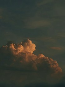 愿为你成Beta