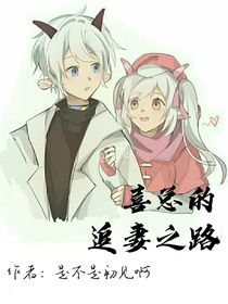 喜總的追妻（美）之路