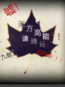 嘘！前方高能！！！请绕行！