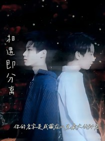 相遇即分离