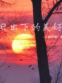 日出下的美好