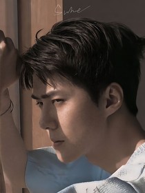 EXO：紫色风信子