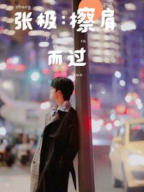 張極：擦肩而過