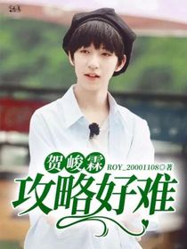 贺峻霖：攻略好难