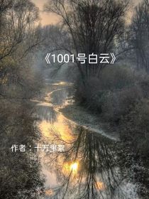 第1001号白云