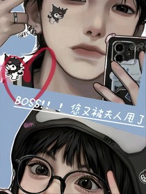 Boss，您又被夫人甩了