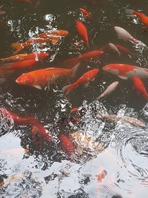 峡谷仙缘
