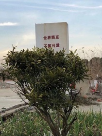 某诗