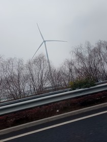 跟哥哥的日常生活