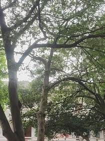 你與耀眼星河