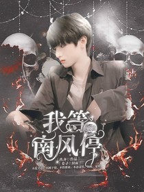 TF三代：我等南风停