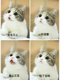 王者八卦群……