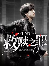 TNT：救贖之罪