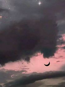 莊言顧雨