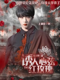 TNT：诱人心弦红玫瑰