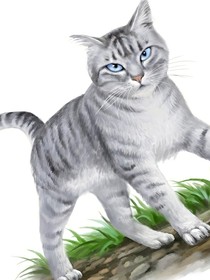 猫武士21部曲1两派内战