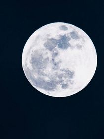 星落尘封