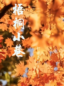 梧桐下的小巷