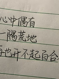 梦中我们彼此相爱