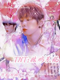 TNT：辣鸡系统