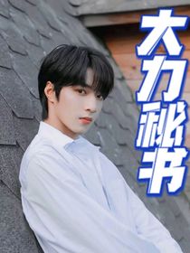 大力秘书