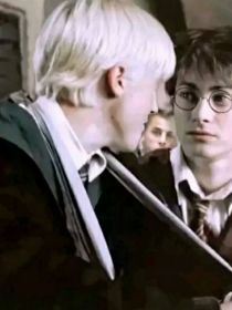 HP：变成白鼬了怎么办？！