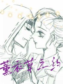 薰衣草之约……
