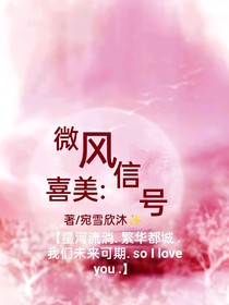 喜美之微風(fēng)信號(hào)