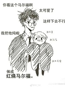 HP：穿越后成為德拉科姝姝