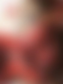 藤下芫花