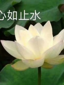 带你回家ABO