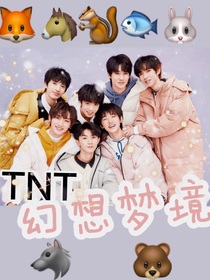 TNT：幻想梦境