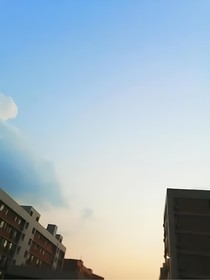 老姐对不起
