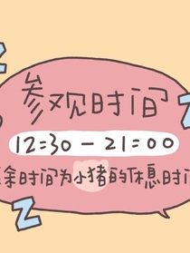 少年派2之永远是你