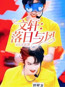 文軒：落日與風(fēng)