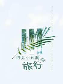 四只小短腿的旅行