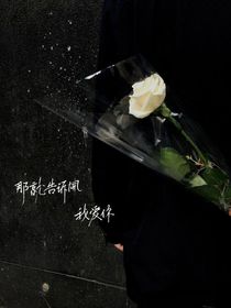 那就告诉風：我爱你