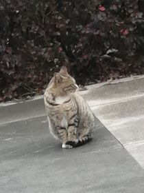 归海花落