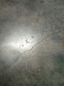TNT：是我的朋友