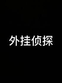 外挂侦探