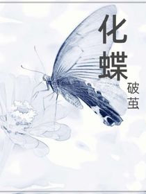 化蝶……破茧