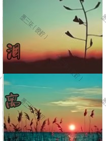 泪离