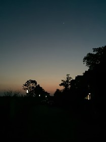 死在黎明的知更鸟