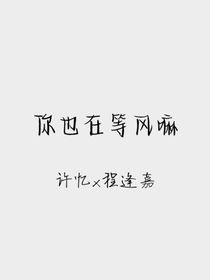 你也在等风嘛