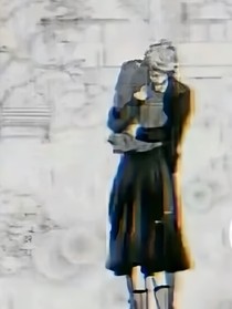玫海瑰棠