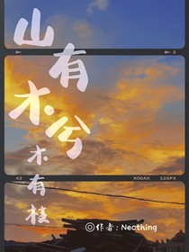 山有木兮木有枝（校園文）