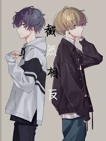 截然相反