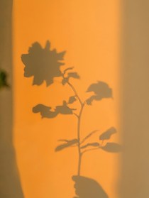 對(duì)象老撒嬌怎么辦