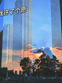我许了个愿
